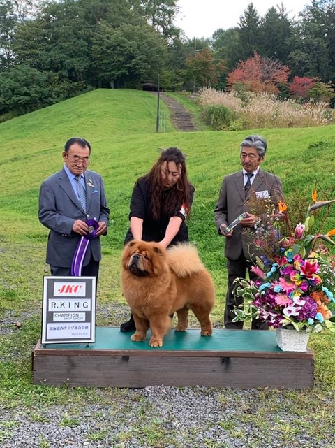 71075192_2708901142477294_546815578061406208_n