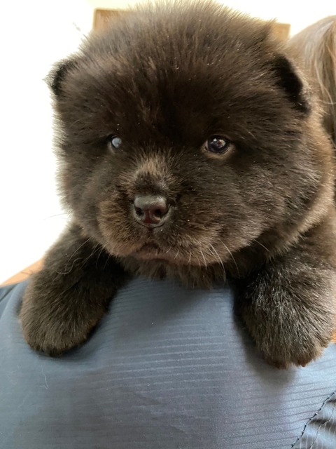 line_465225091706319