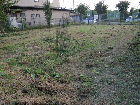 DSC08189