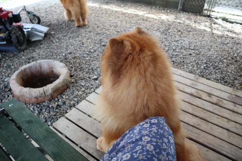 2020_19.07.07_200708