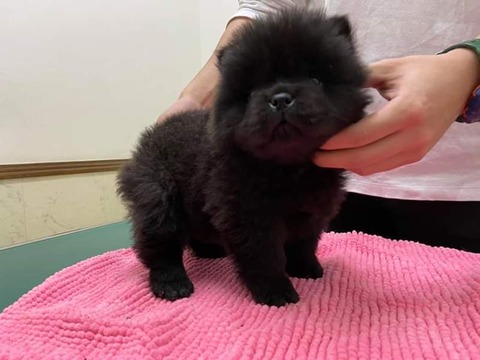 FB_IMG_1583157995675