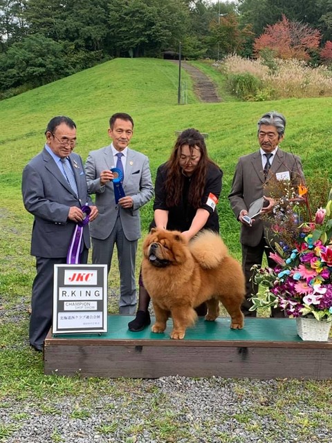 71825015_2708900392477369_7309103266191638528_n