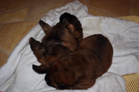 line_187501168144991