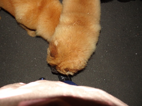 DSC07658