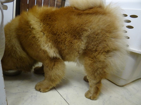 DSC07755