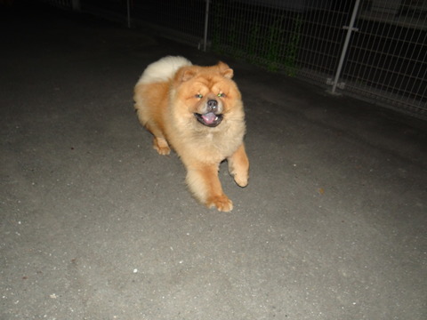 DSC08054