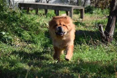 line_772623782106105