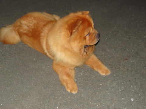 DSC07708