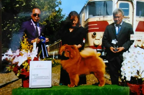 72692980_2723599084340833_1571784432052862976_n