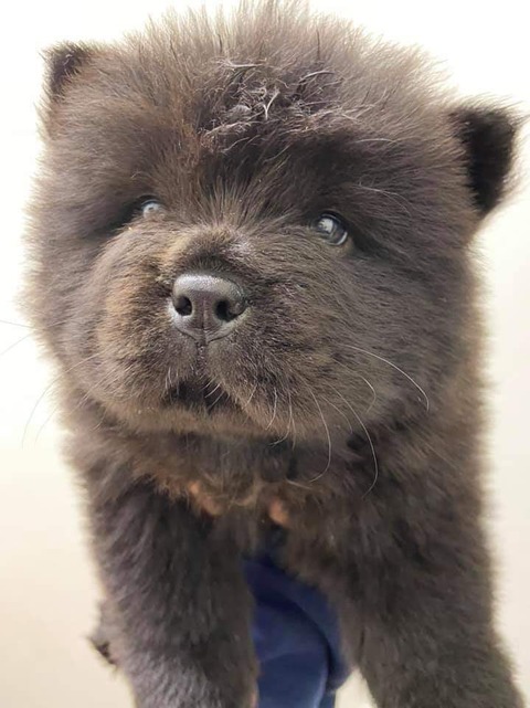 FB_IMG_1583157933316