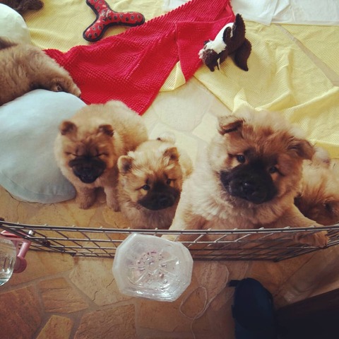 IMG_20201018_102609_955