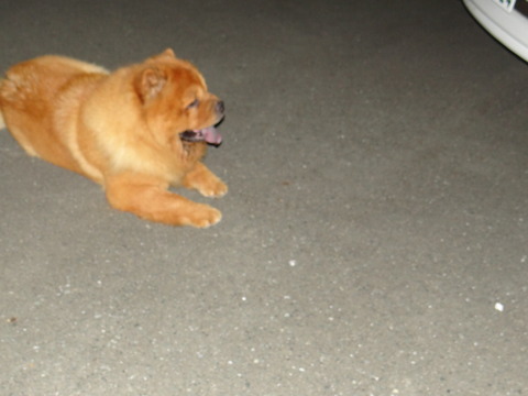 DSC07707