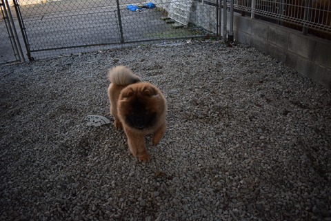 line_1201269844905069