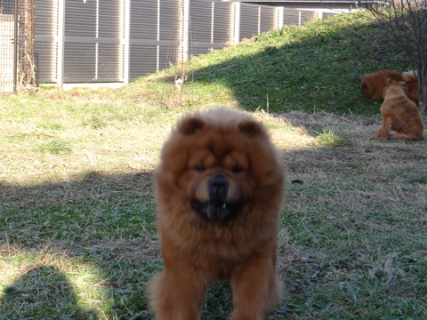 DSC07079