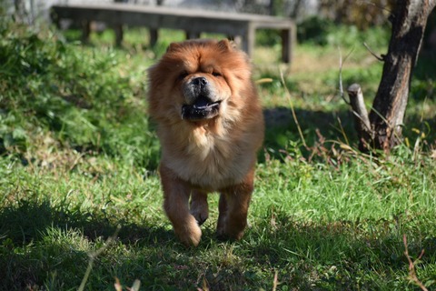 line_772630156688238