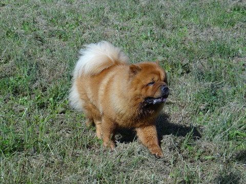DSC08319
