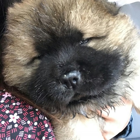 IMG_20191124_120250_709