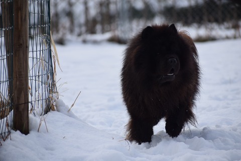 line_582438135241605