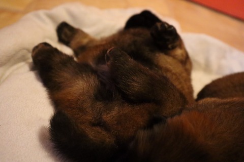 line_187476651318856