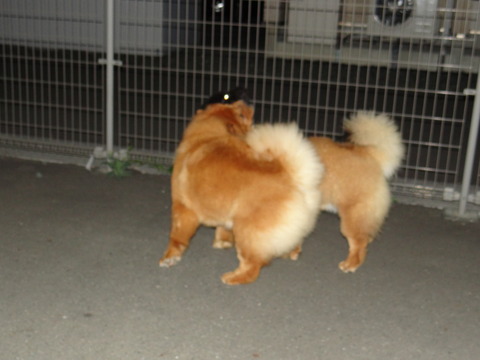 DSC07678