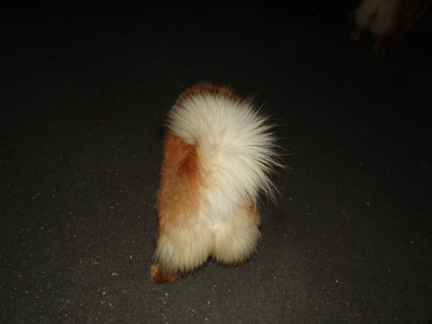 DSC08176