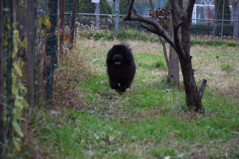 line_1575902422003458