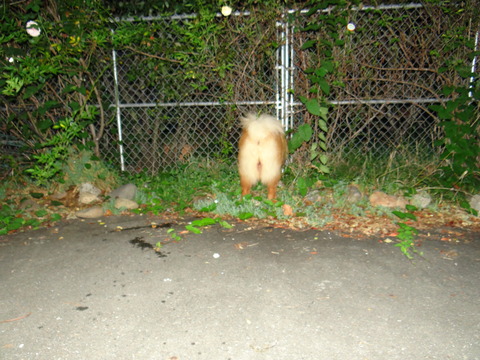 DSC08121