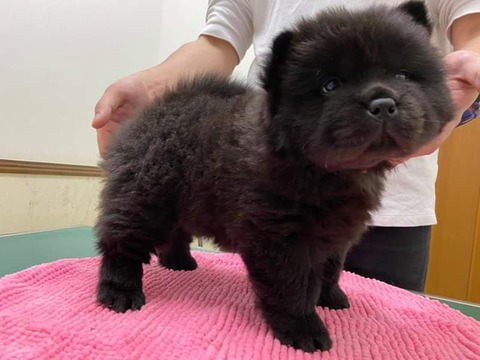 FB_IMG_1583157923626