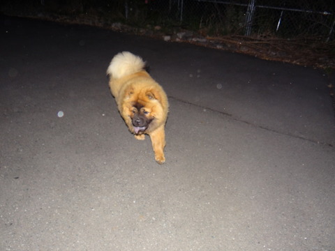 DSC07642