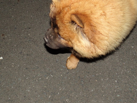 DSC07691