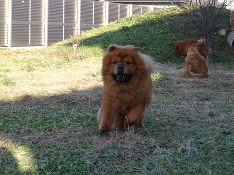 DSC07074