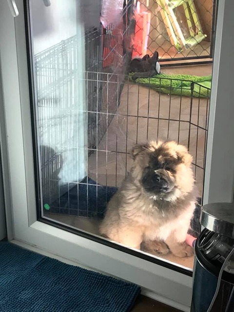 72354379_2712306598803415_5462638323891699712_n