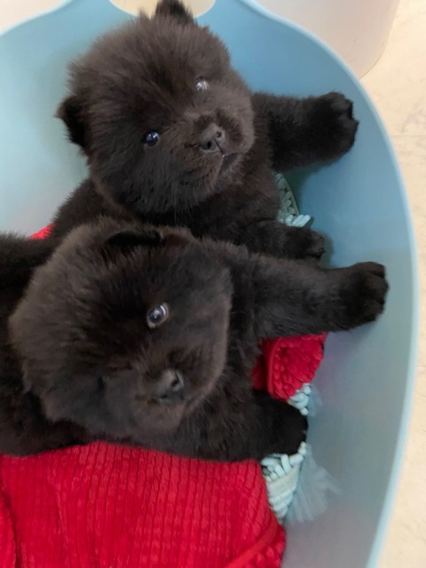 line_465206197259034