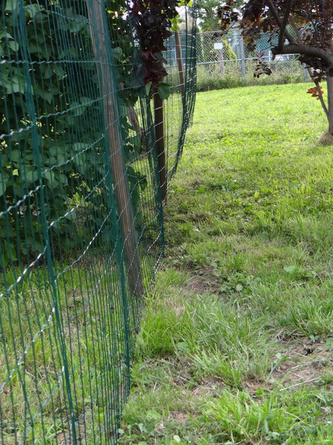 DSC05999