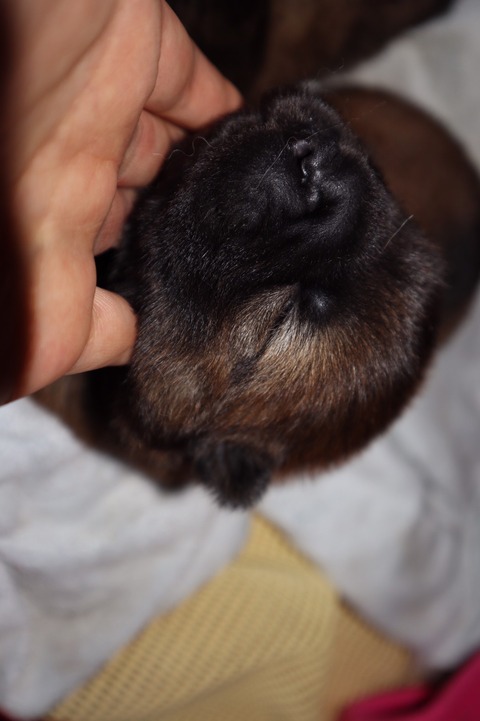 line_187506763589937