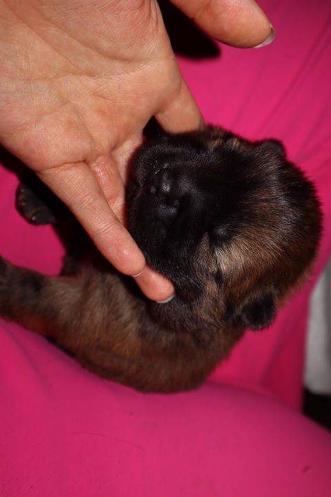 line_187513837159361