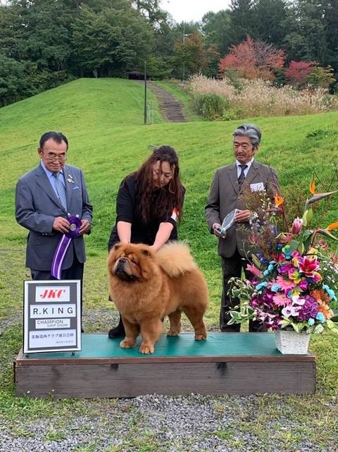 71869886_2708900549144020_1014321316532060160_n