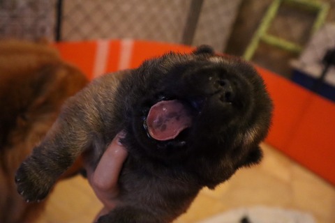 line_187451648733865