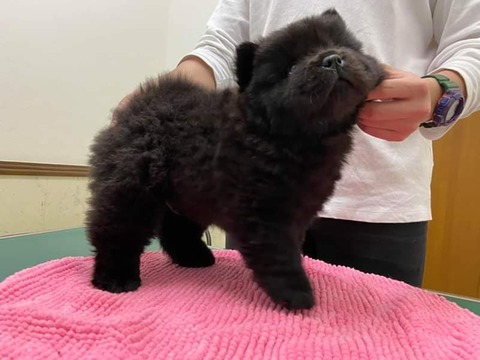 FB_IMG_1583157971796