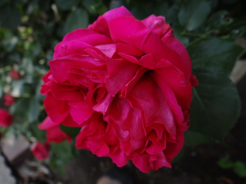 DSC05968
