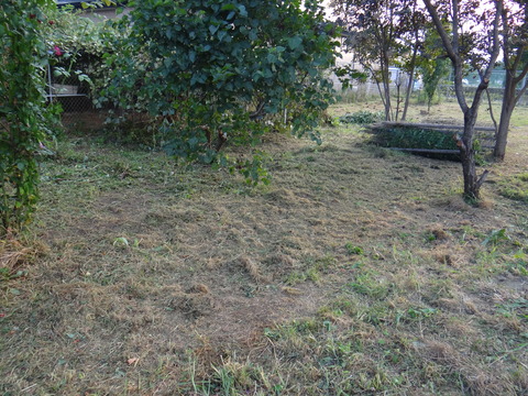 DSC08184