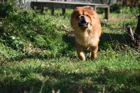 line_772615815701942