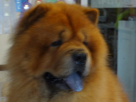 DSC07845