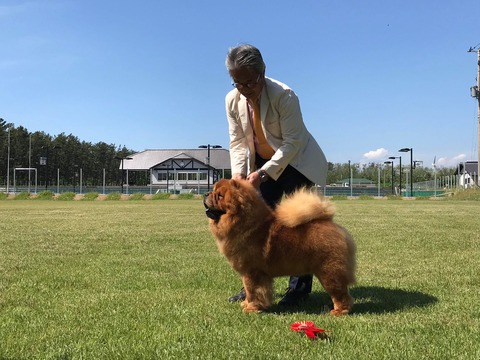 61973578_438144696970225_5423173591690641408_n