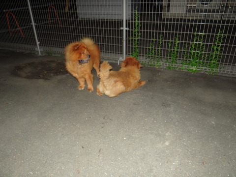DSC08087