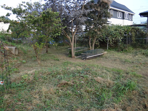 DSC08190
