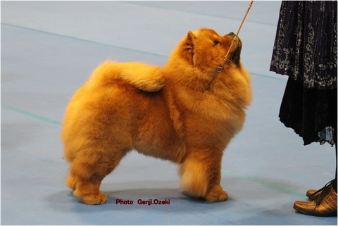 JPCH.IncipitKrasimir