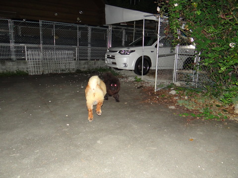 DSC08177