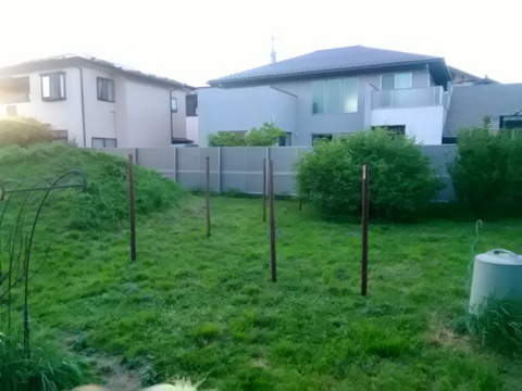 P_20190523_181548