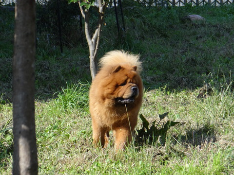 DSC08316